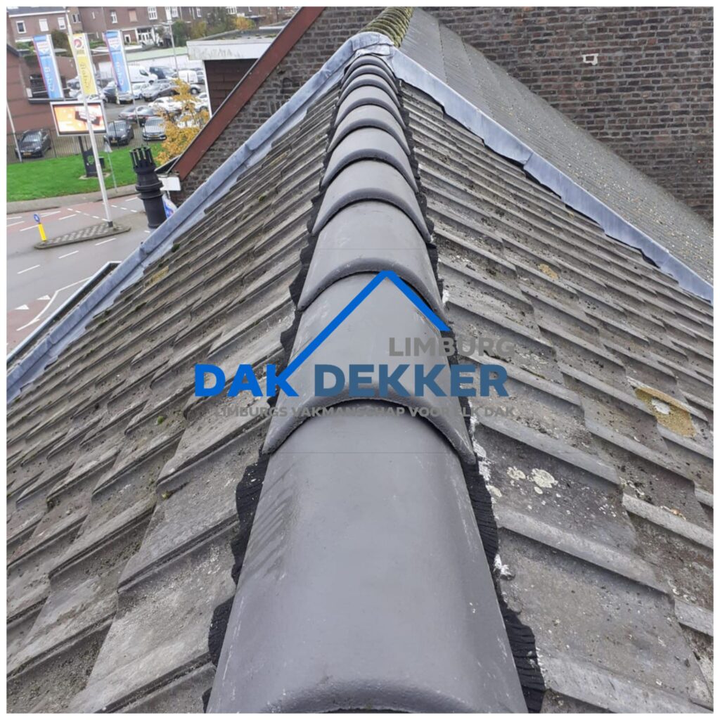Dakspecialist Limburg